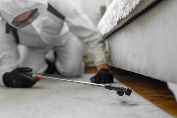 Professional Termite Control technician working in Rowland Heights, CA