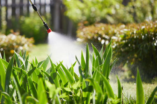 24/7 Emergency Termite Control experts in Rowland Heights, CA