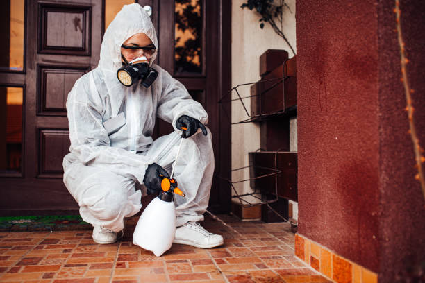 Reliable Termite Control contractor in Rowland Heights, CA by Nex Pest Control