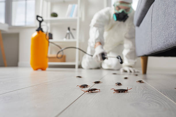 Trusted Emergency Pest Control service in Rowland Heights, CA - Nex Pest Control