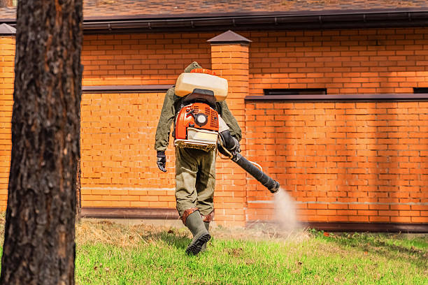 Trusted Bed Bug Control service in Rowland Heights, CA - Nex Pest Control